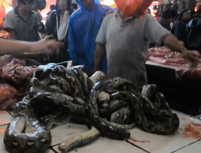 Indonesia extreme food - Tomohon traditional market