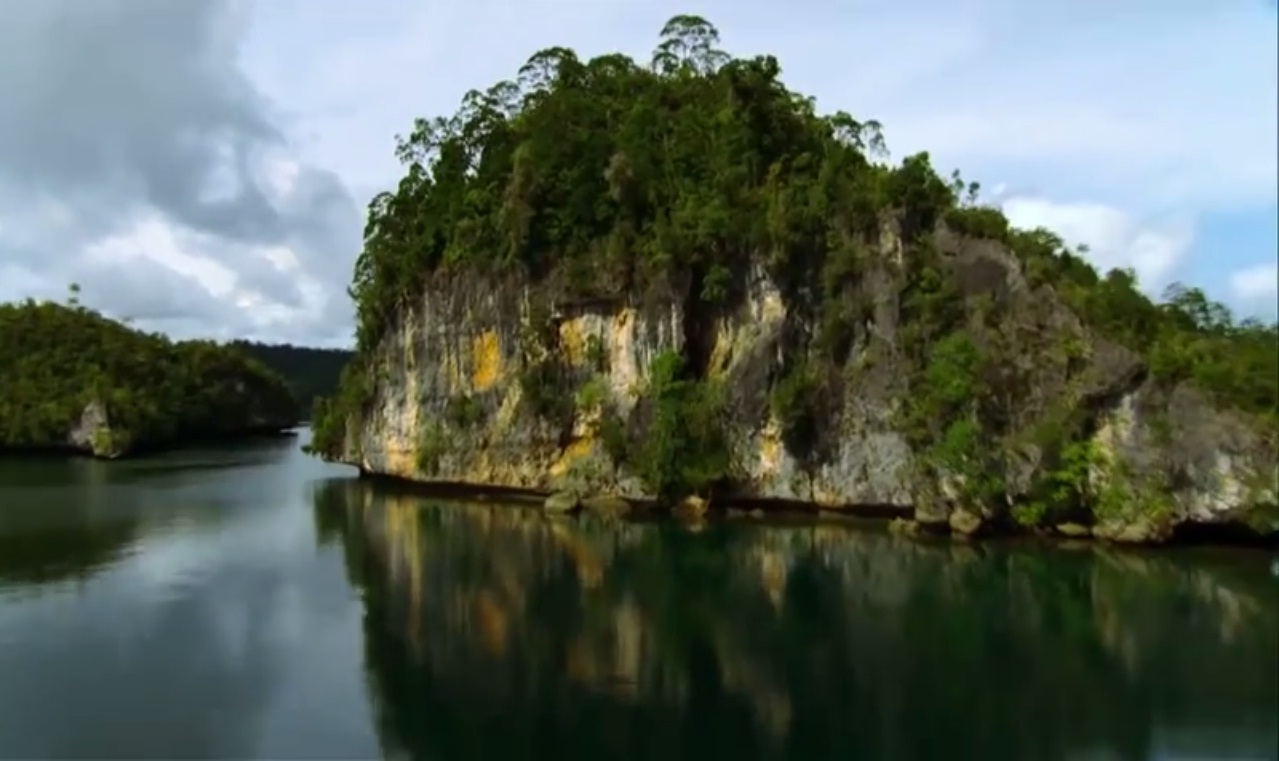 This Video Showing How Beautiful Raja Ampat, Papua, Indonesia Is