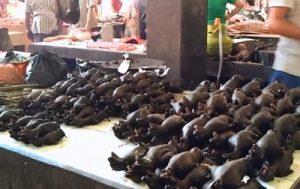 Extreme meat in Tomohon Traditional Market
