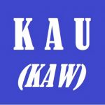 what does kau mean - indonesian pronoun 01