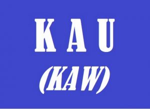 what does kau mean - indonesian pronoun 01